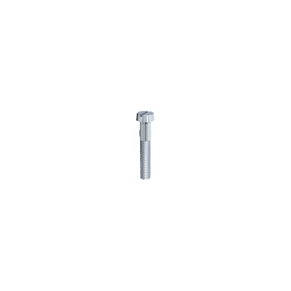STAUFF Slotted Head Screw (Type LI - Standard Series)