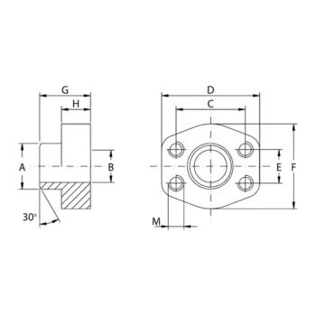 Flange a Saldare di Testa