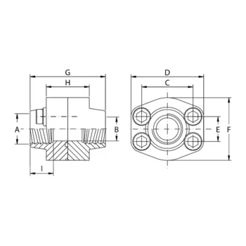Doppie Flange Filettate Gas Oleo Tecnica