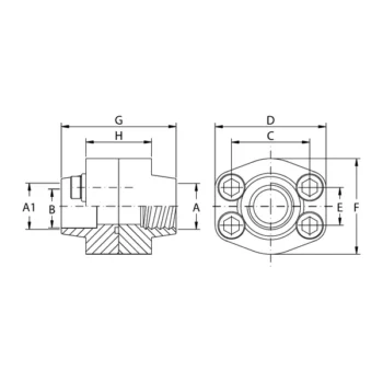 Doppie Flange Filettate Gas e a Saldare di Tasca Oleo Tecnica
