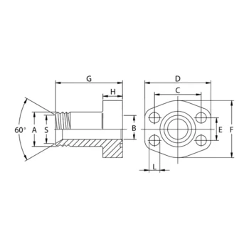 Flange a Tenuta Conica a 60° Filettate Gas Oleo Tecnica