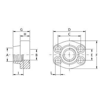 Flange Filettate Gas Oleo Tecnica